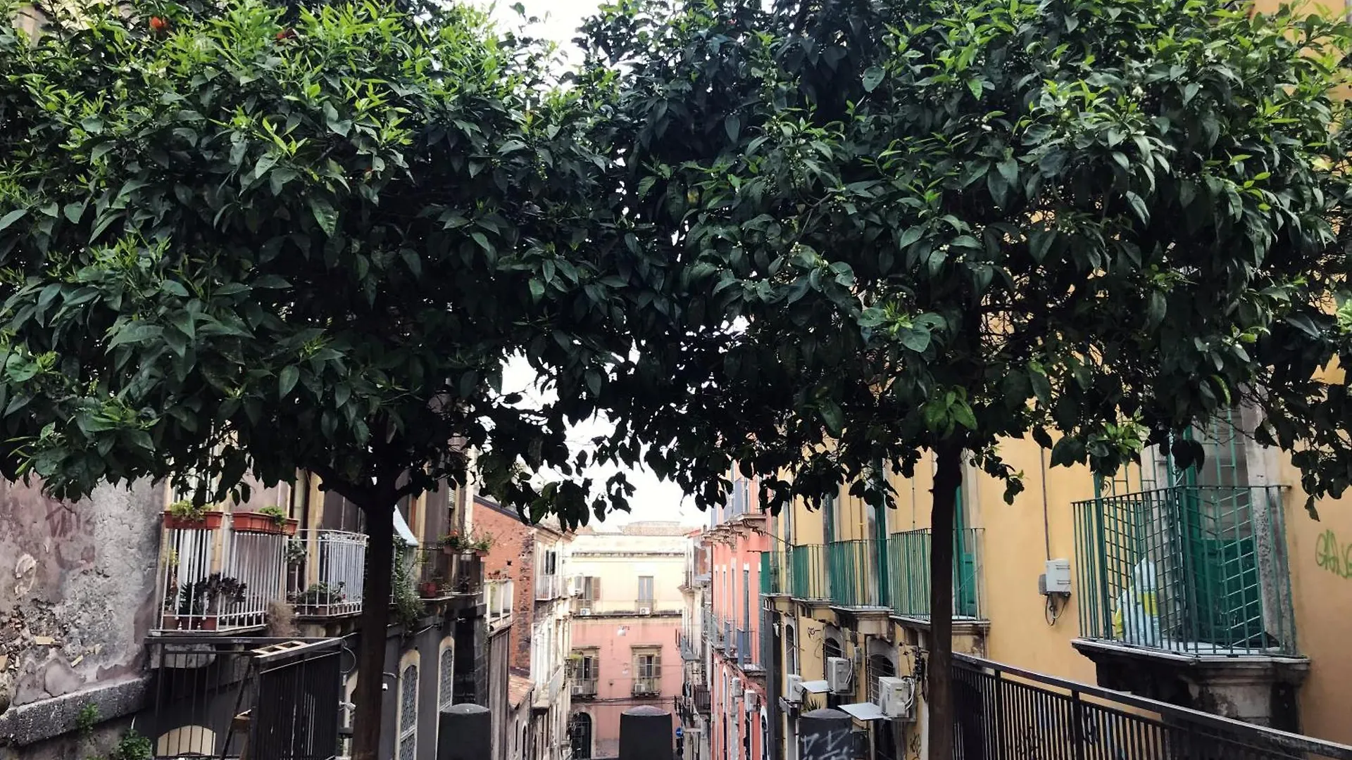 Gasthof Hotel Dimora San Camillo Catania